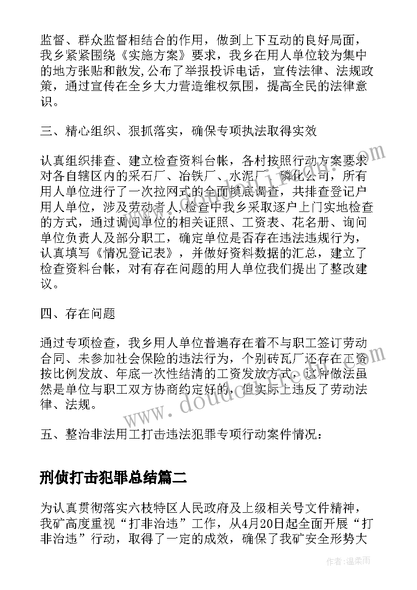 2023年刑侦打击犯罪总结(大全5篇)