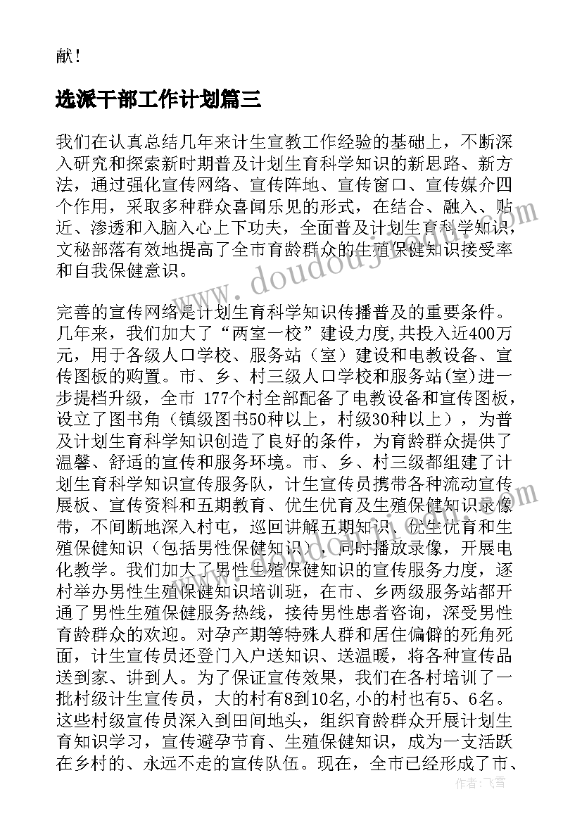 选派干部工作计划(实用6篇)