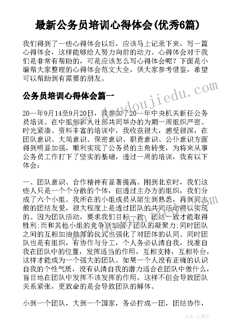 基层镇政府个人总结(实用6篇)