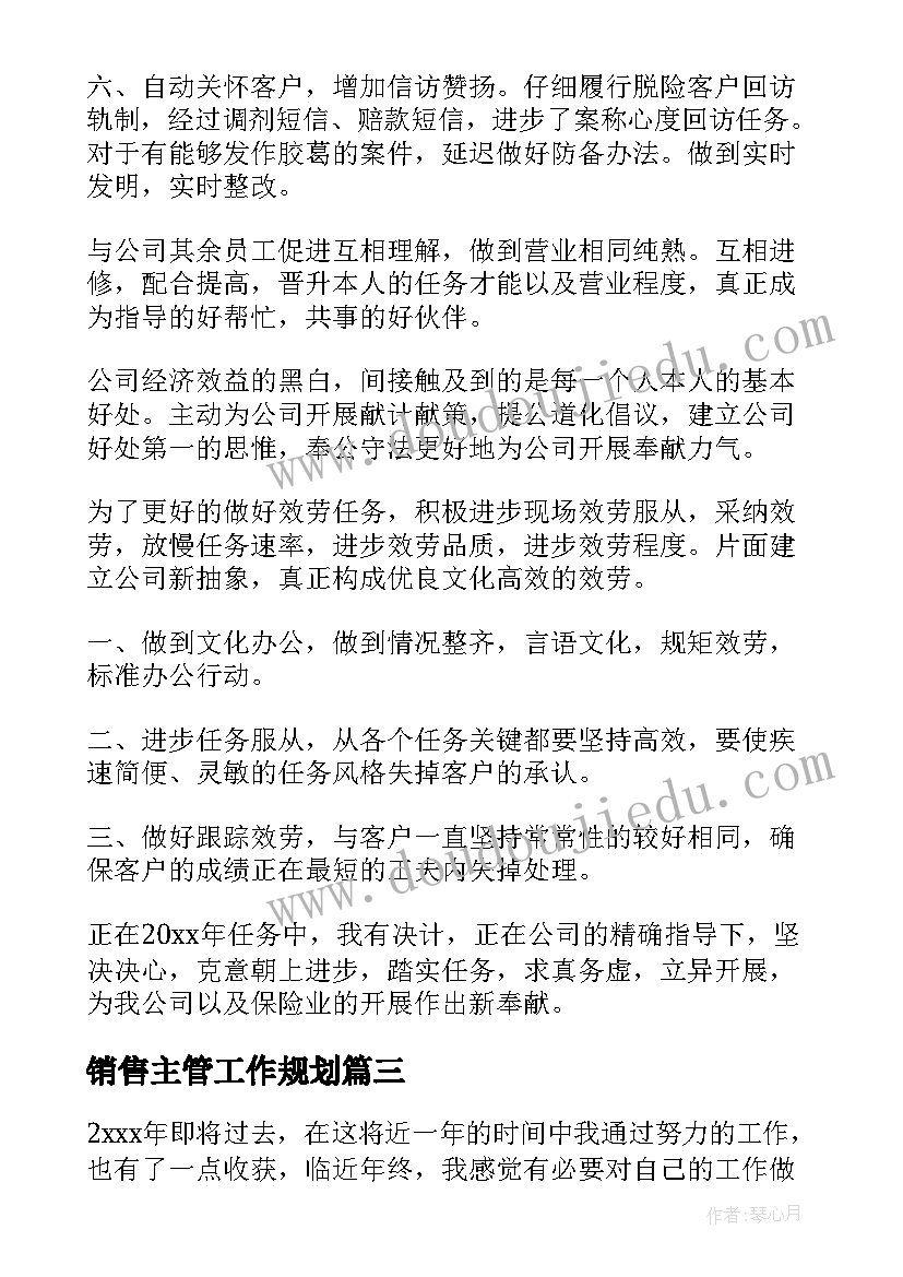 2023年销售主管工作规划(模板6篇)