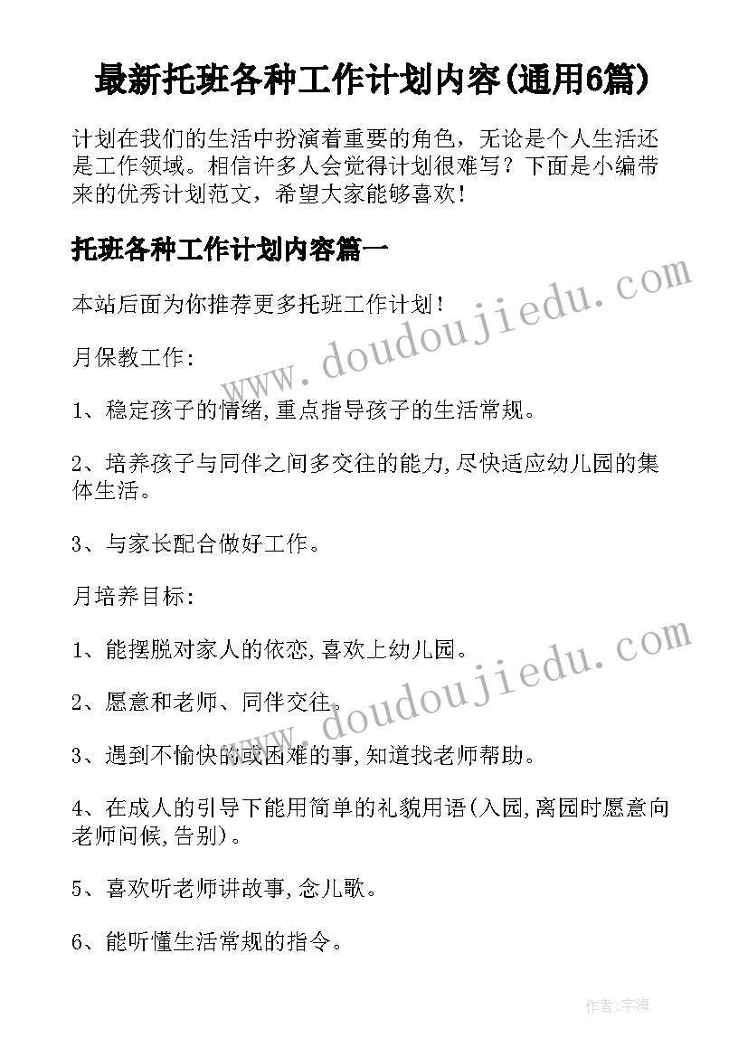 最新托班各种工作计划内容(通用6篇)