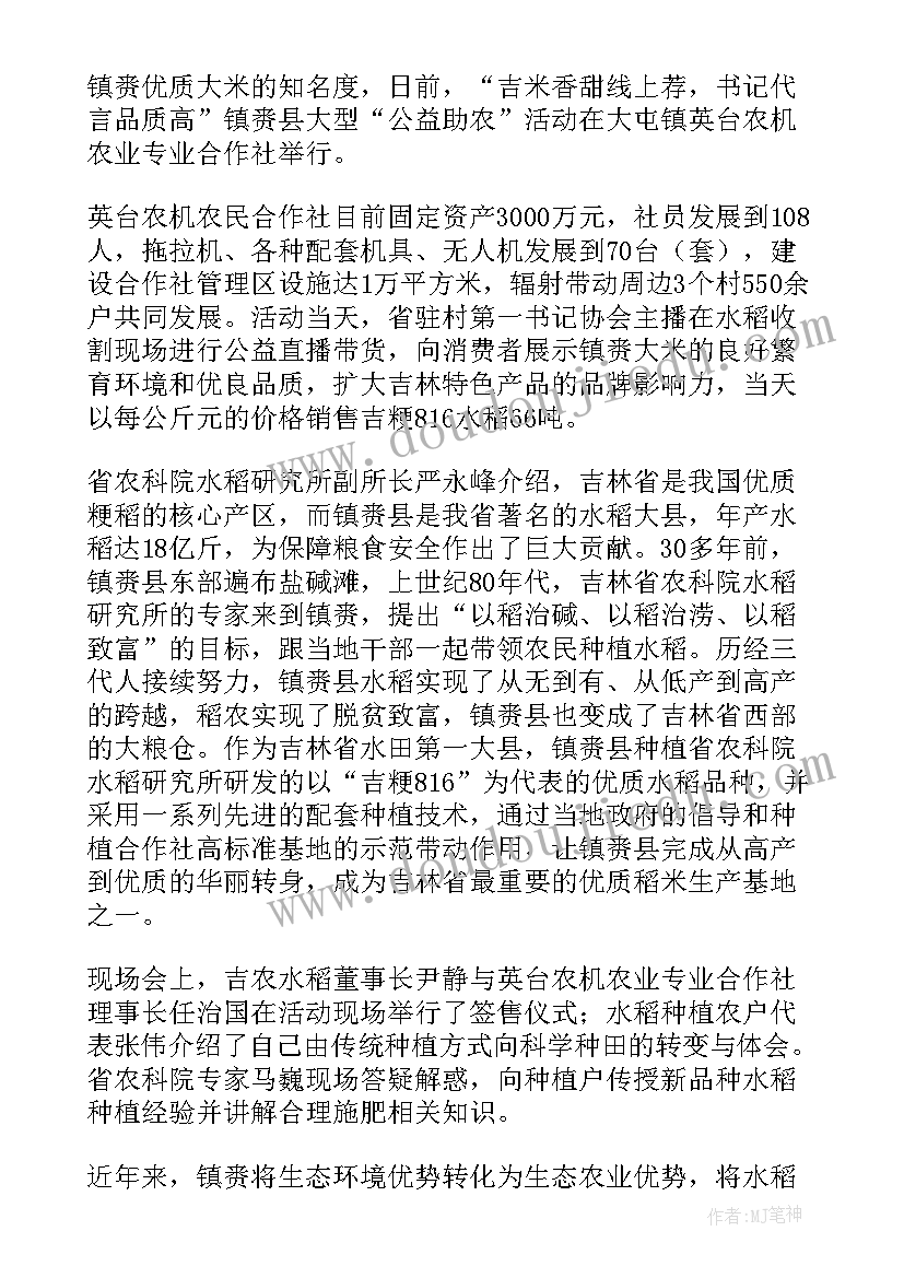 返乡探亲工作总结 返乡见闻工作总结合集(精选5篇)