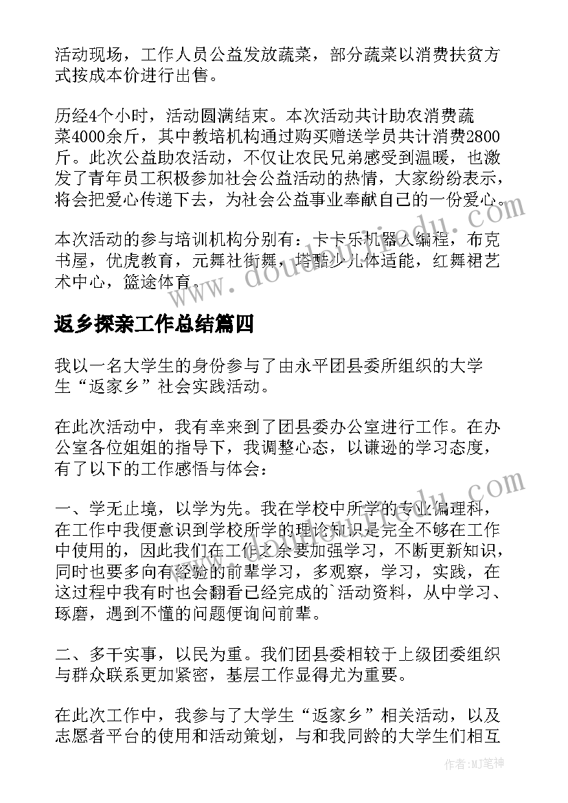 返乡探亲工作总结 返乡见闻工作总结合集(精选5篇)