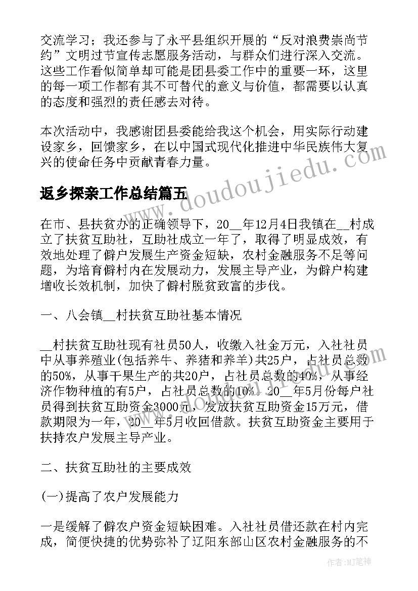 返乡探亲工作总结 返乡见闻工作总结合集(精选5篇)