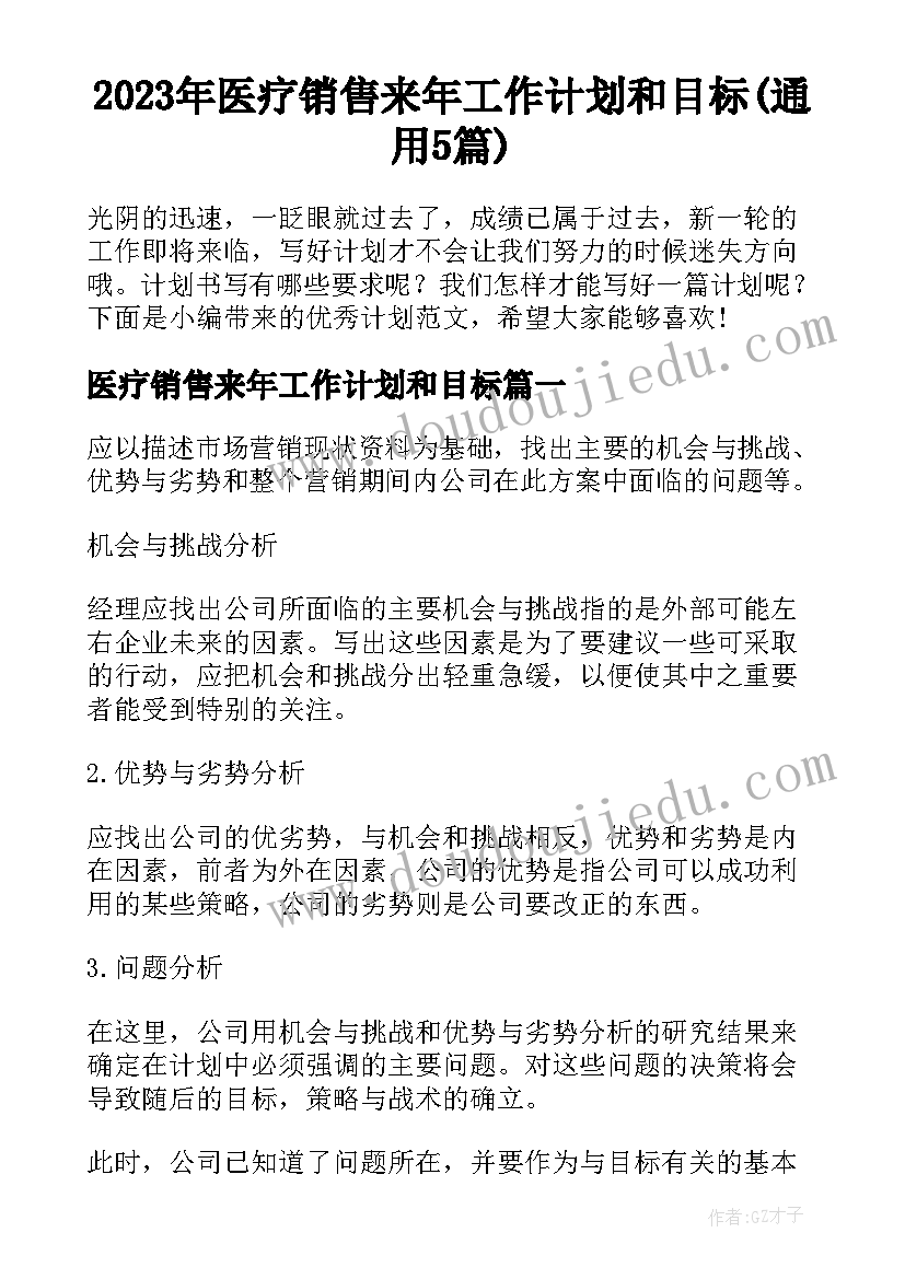 2023年医疗销售来年工作计划和目标(通用5篇)