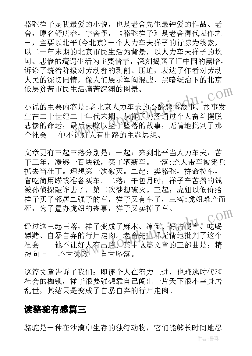 2023年包饺子幼儿园活动 冬至幼儿园包饺子活动总结(精选9篇)