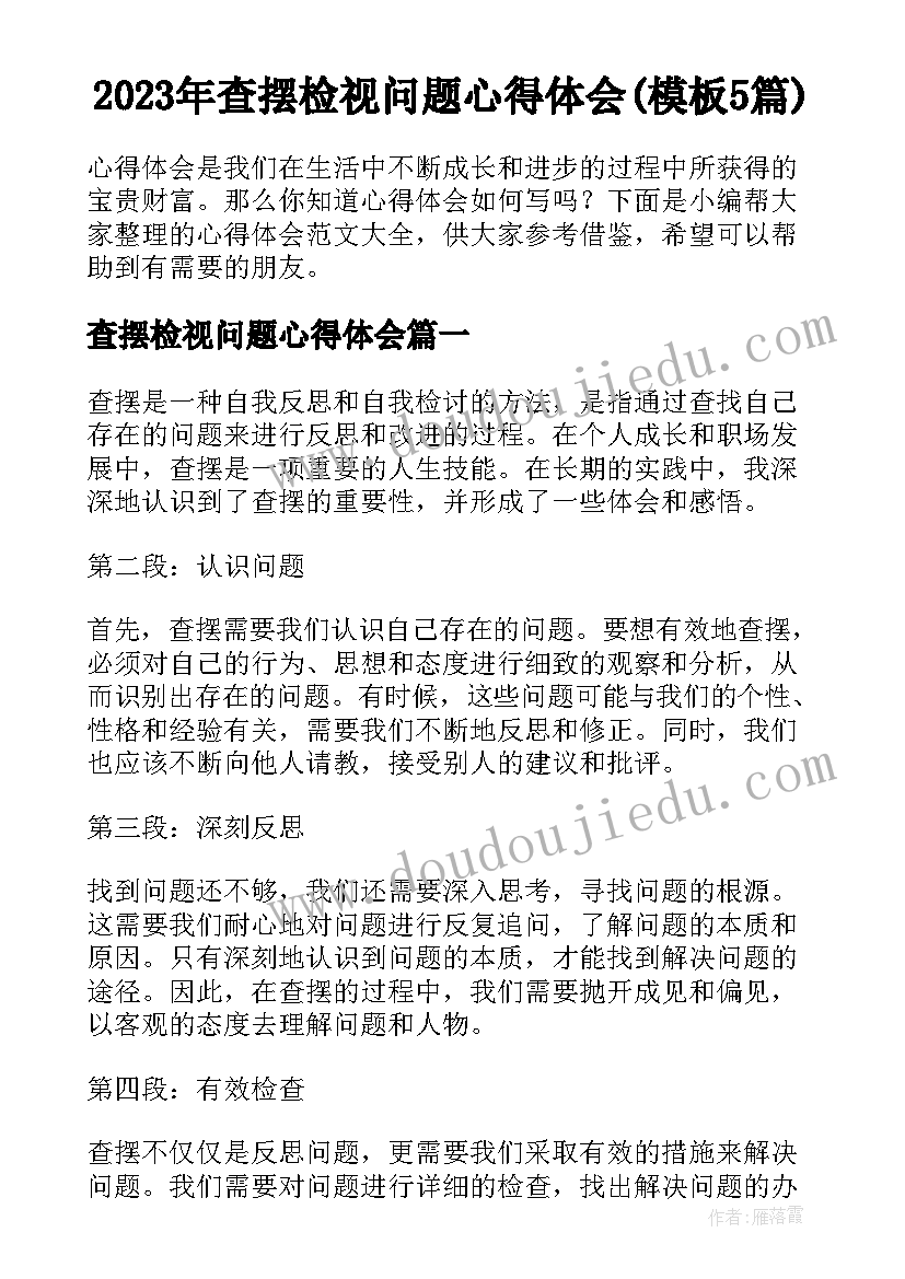 2023年查摆检视问题心得体会(模板5篇)