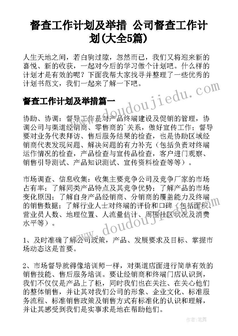 督查工作计划及举措 公司督查工作计划(大全5篇)