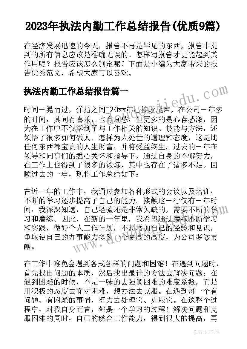 2023年执法内勤工作总结报告(优质9篇)