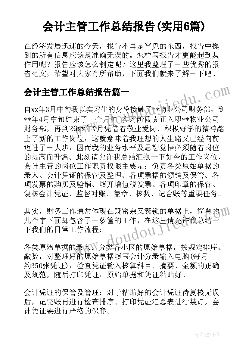 会计主管工作总结报告(实用6篇)