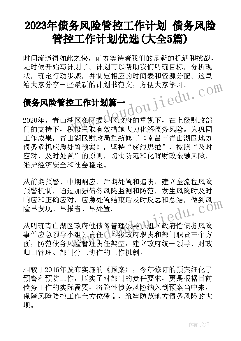 2023年债务风险管控工作计划 债务风险管控工作计划优选(大全5篇)