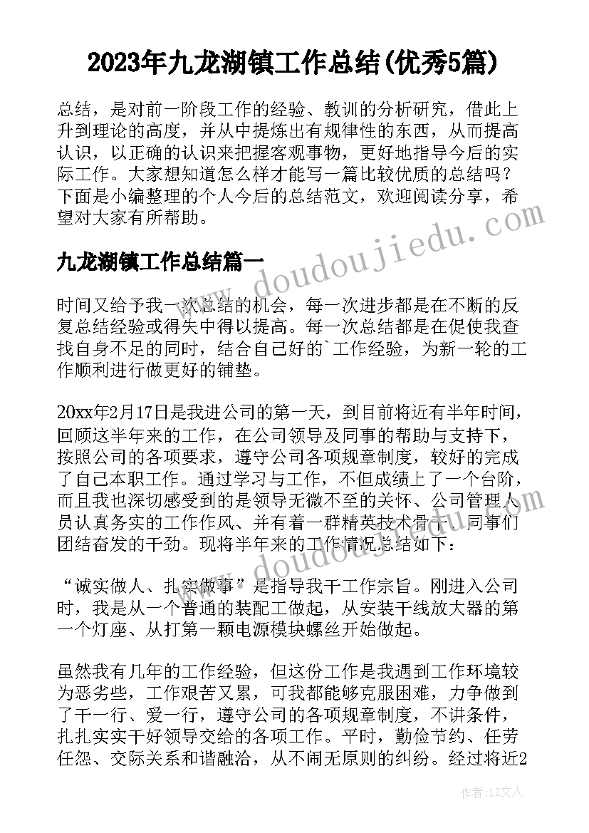 2023年九龙湖镇工作总结(优秀5篇)