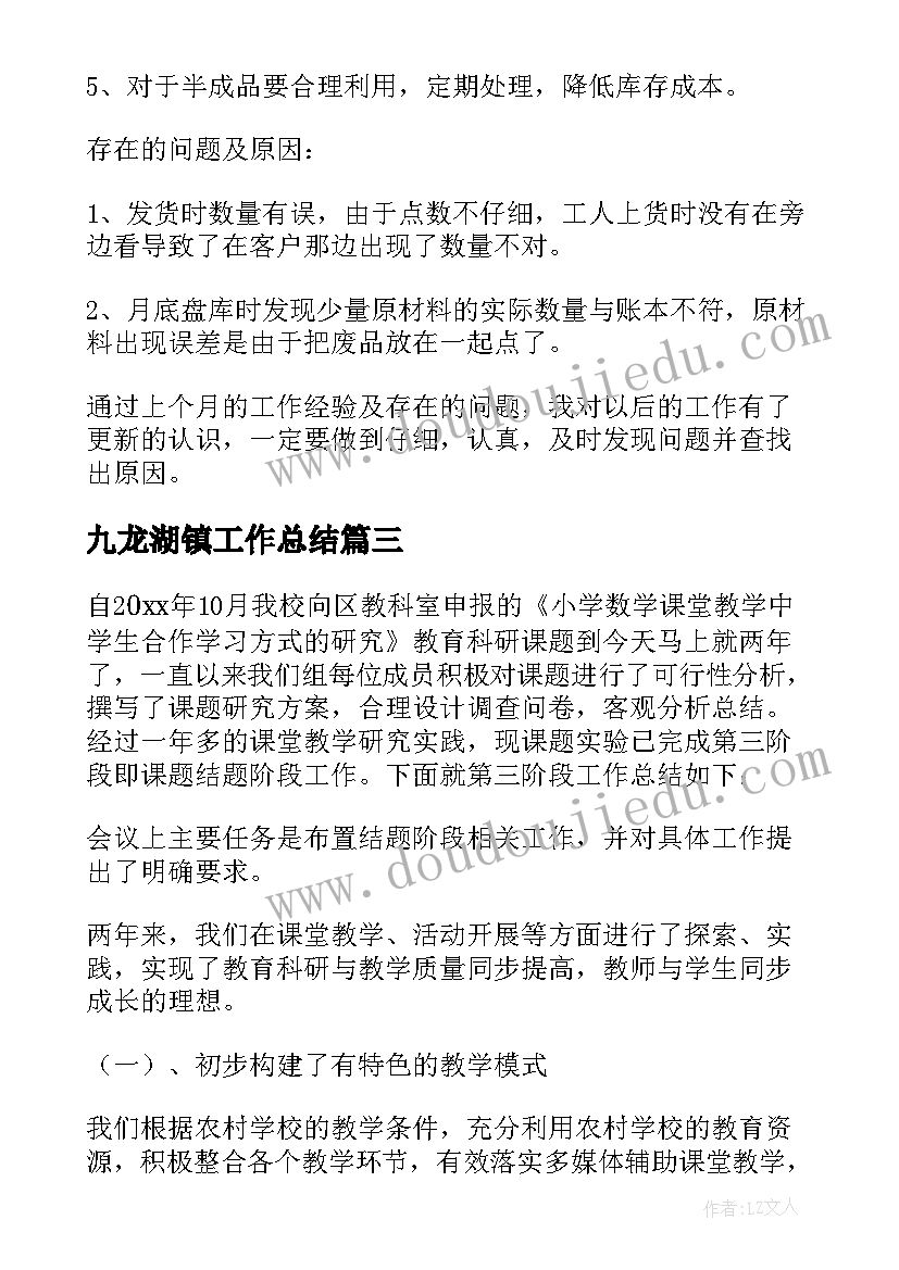 2023年九龙湖镇工作总结(优秀5篇)