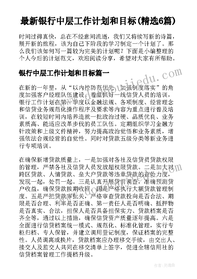 最新银行中层工作计划和目标(精选6篇)