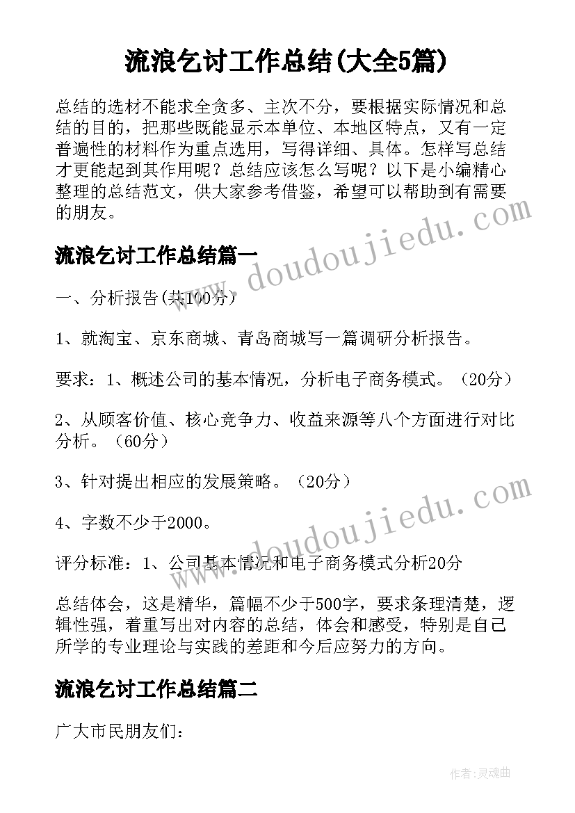 流浪乞讨工作总结(大全5篇)