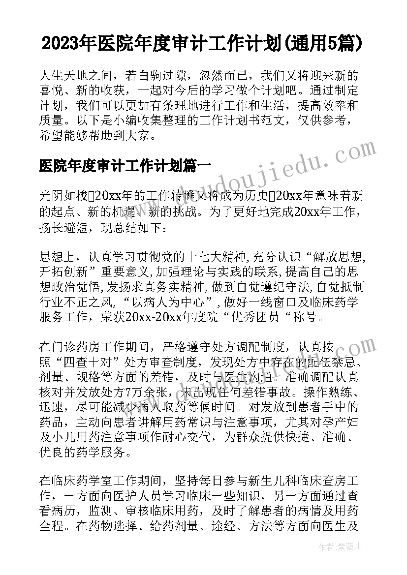 2023年医院年度审计工作计划(通用5篇)