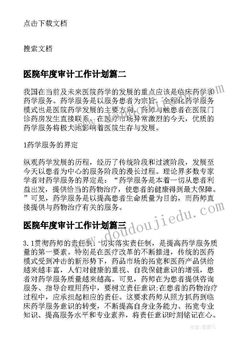 2023年医院年度审计工作计划(通用5篇)