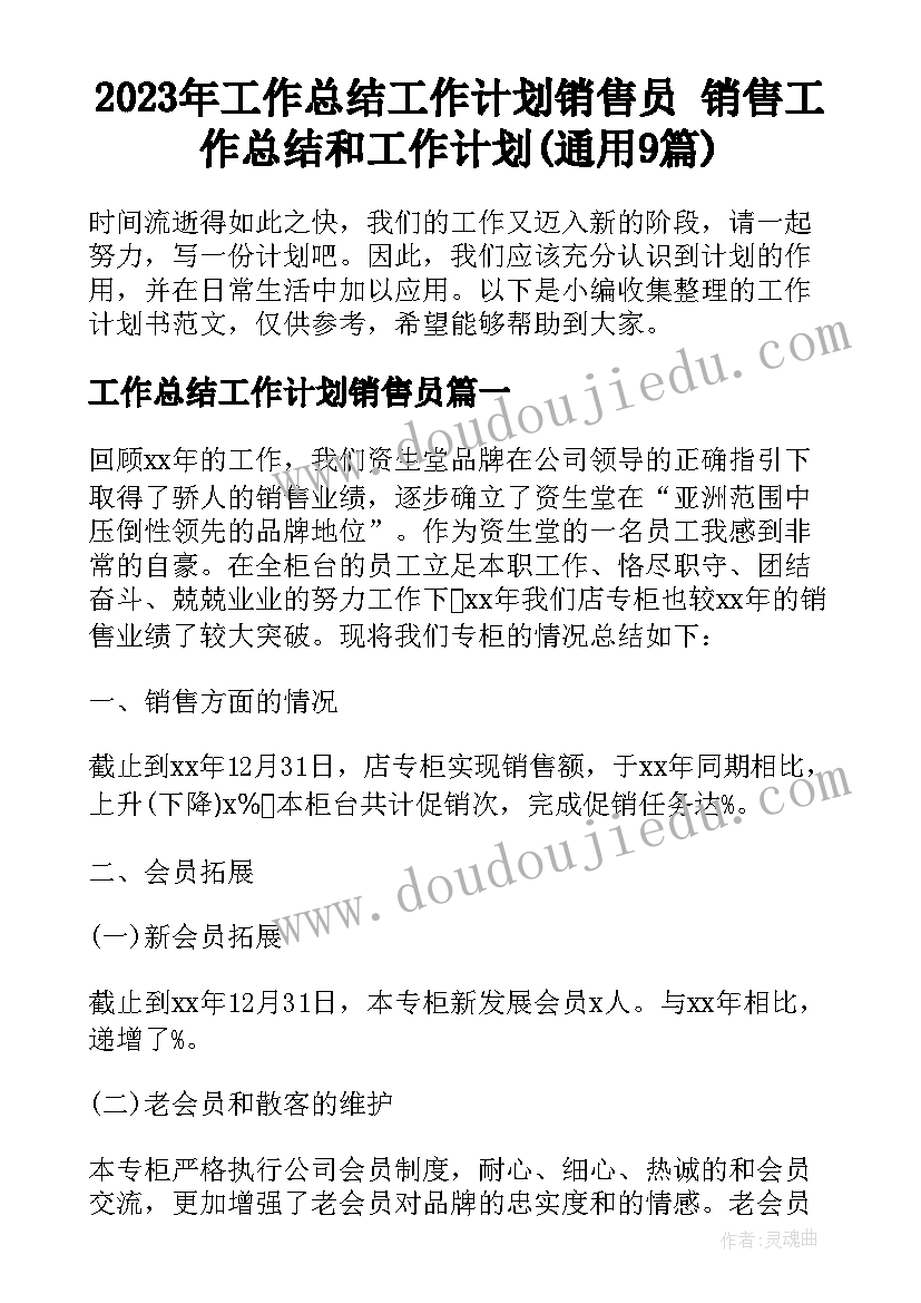 2023年工作总结工作计划销售员 销售工作总结和工作计划(通用9篇)