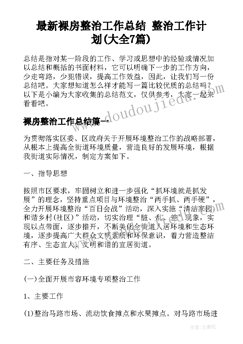 最新裸房整治工作总结 整治工作计划(大全7篇)