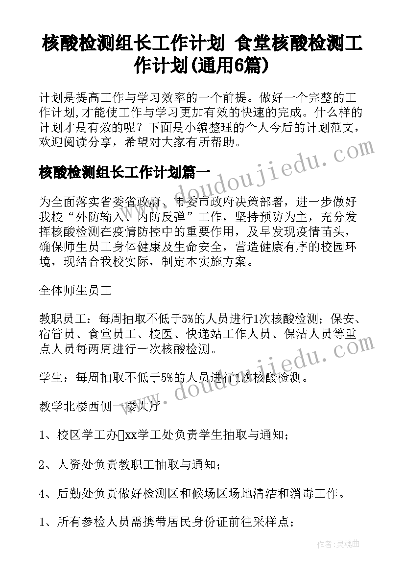 核酸检测组长工作计划 食堂核酸检测工作计划(通用6篇)