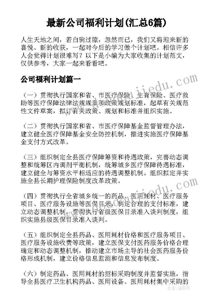 最新公司福利计划(汇总6篇)