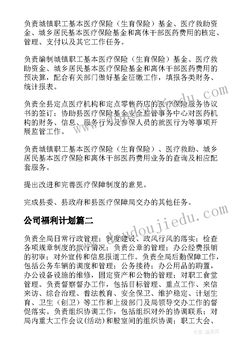 最新公司福利计划(汇总6篇)