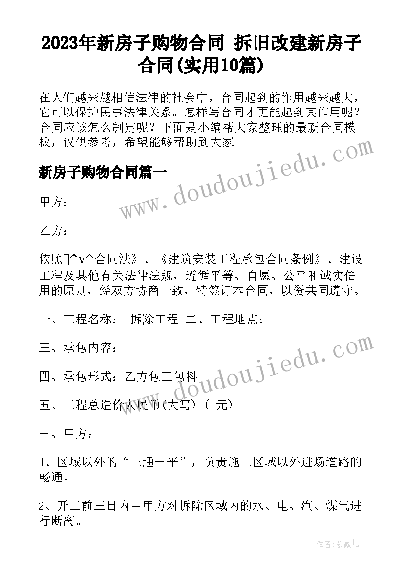 2023年新房子购物合同 拆旧改建新房子合同(实用10篇)