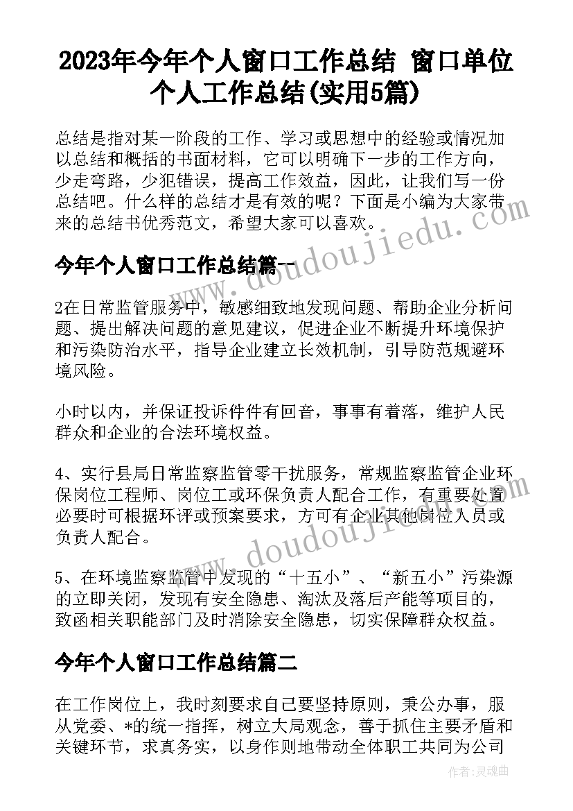 2023年今年个人窗口工作总结 窗口单位个人工作总结(实用5篇)