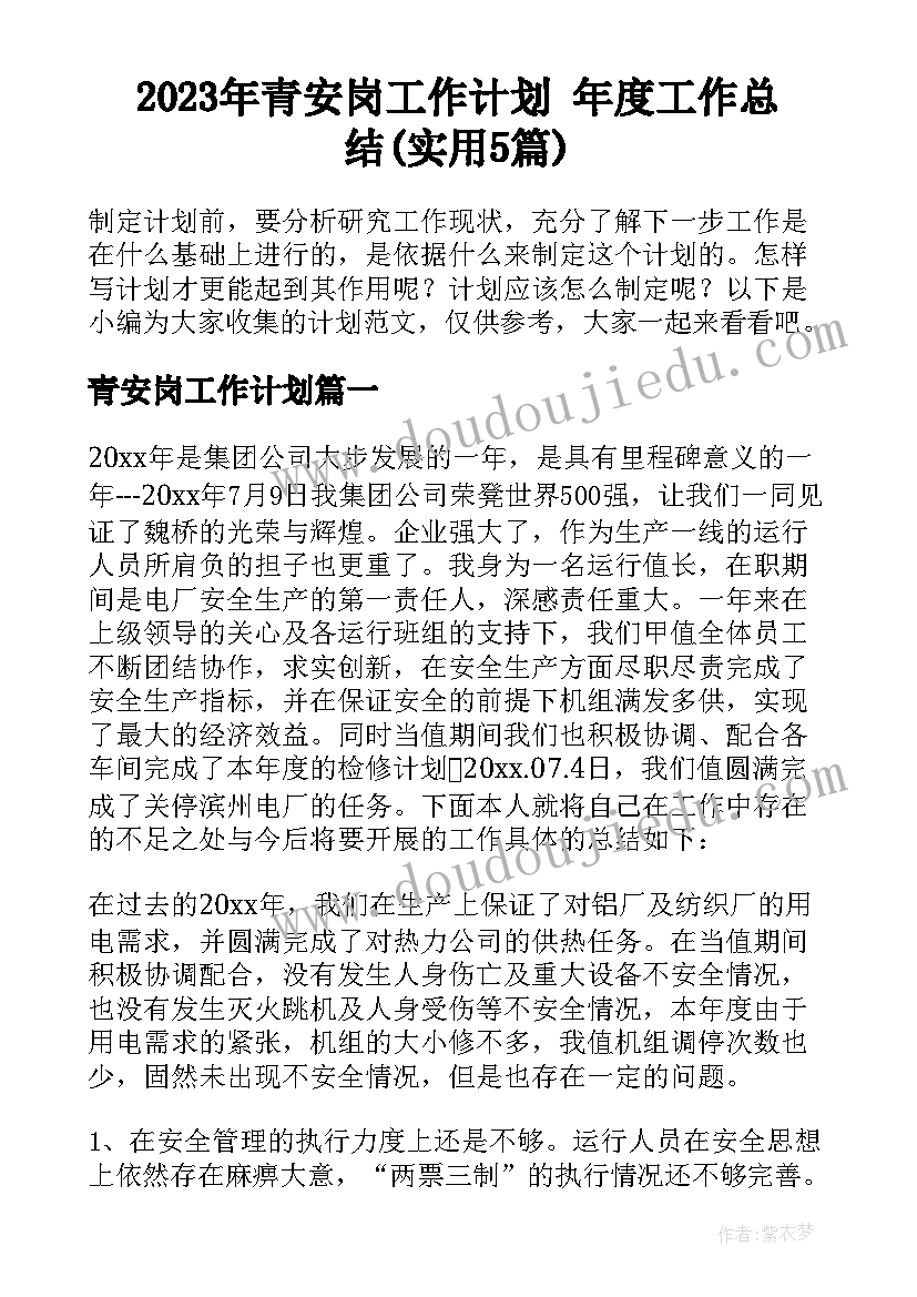 2023年青安岗工作计划 年度工作总结(实用5篇)