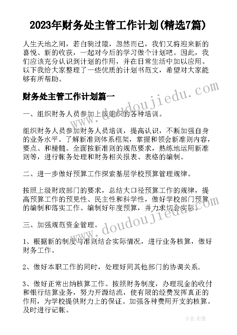 2023年财务处主管工作计划(精选7篇)