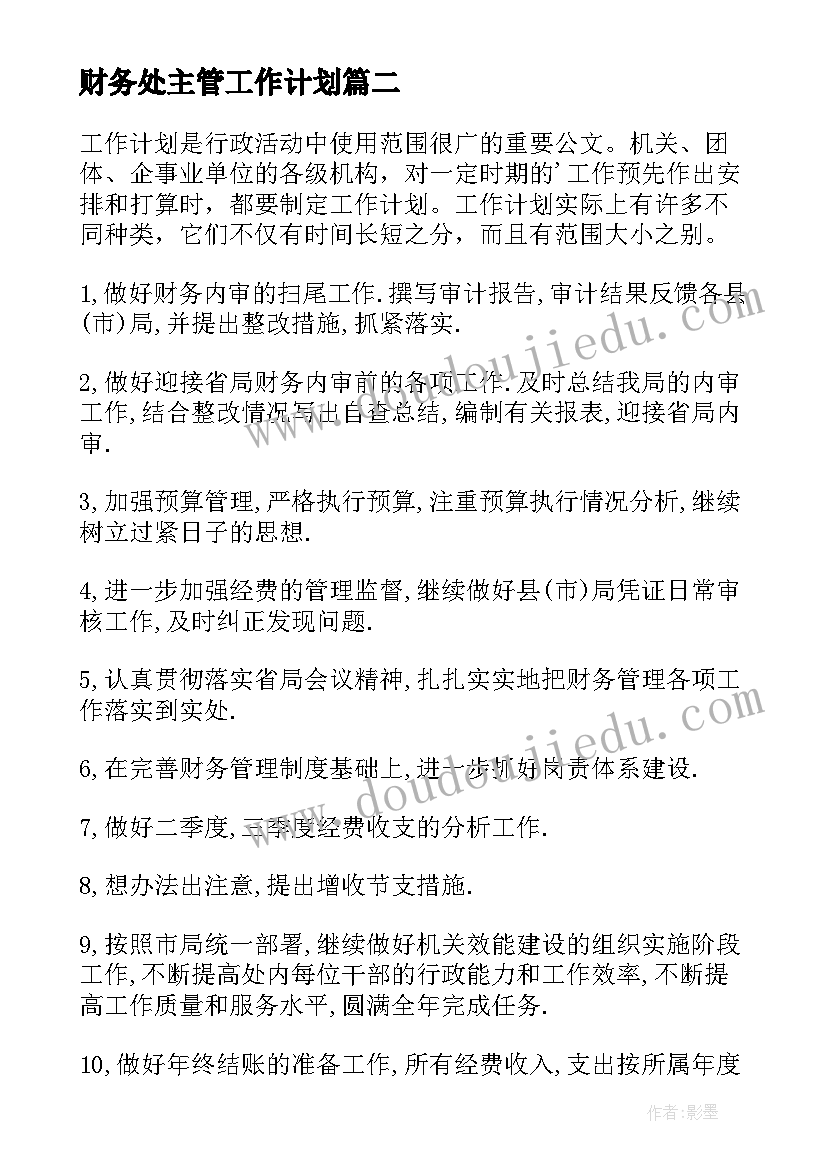 2023年财务处主管工作计划(精选7篇)