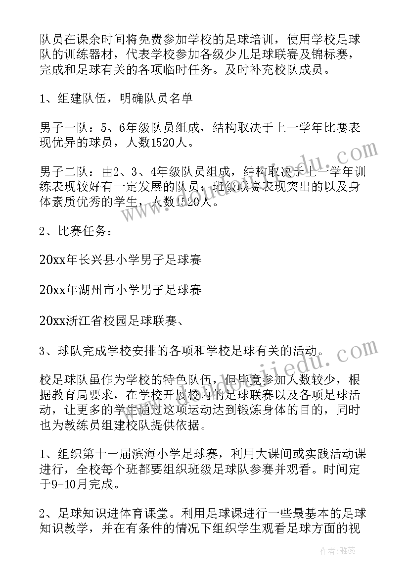 2023年社团副会长工作总结 社团工作计划(模板10篇)