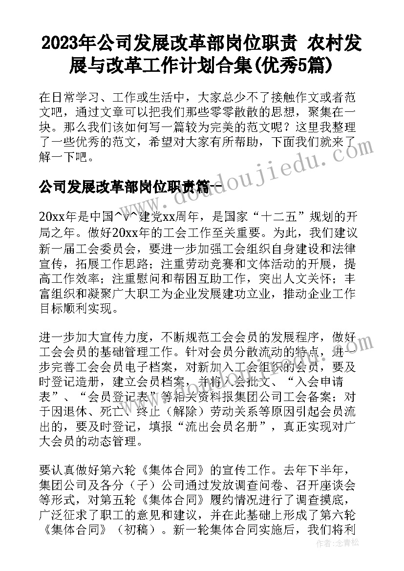 2023年公司发展改革部岗位职责 农村发展与改革工作计划合集(优秀5篇)