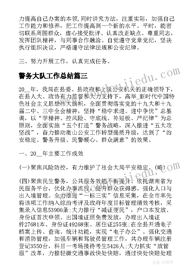 2023年警务大队工作总结(模板5篇)