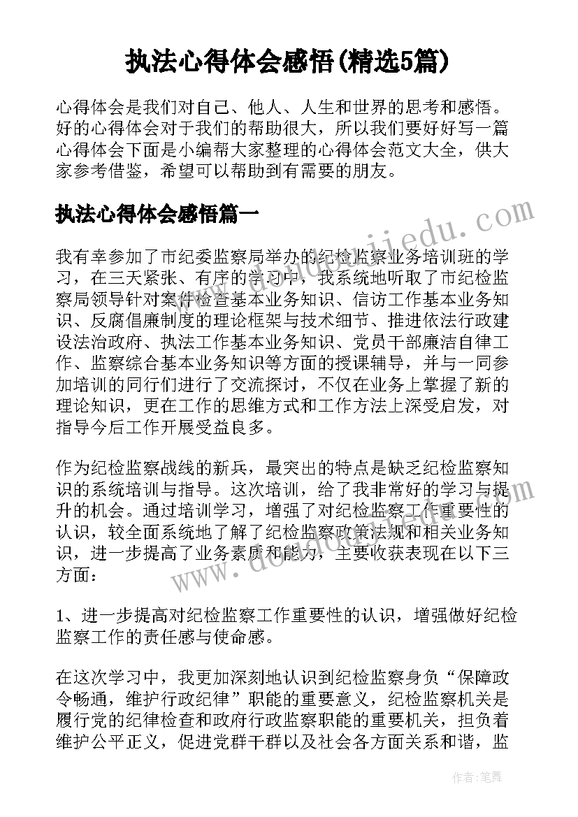 执法心得体会感悟(精选5篇)