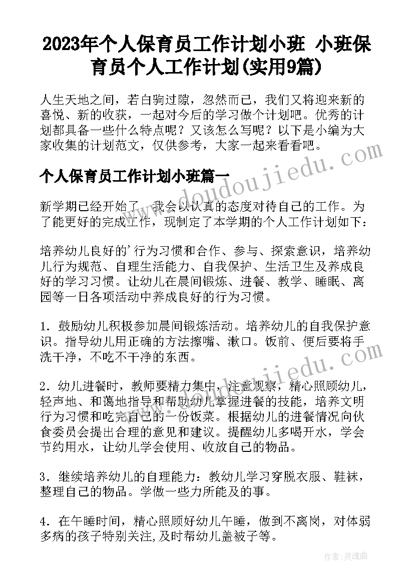 2023年个人保育员工作计划小班 小班保育员个人工作计划(实用9篇)