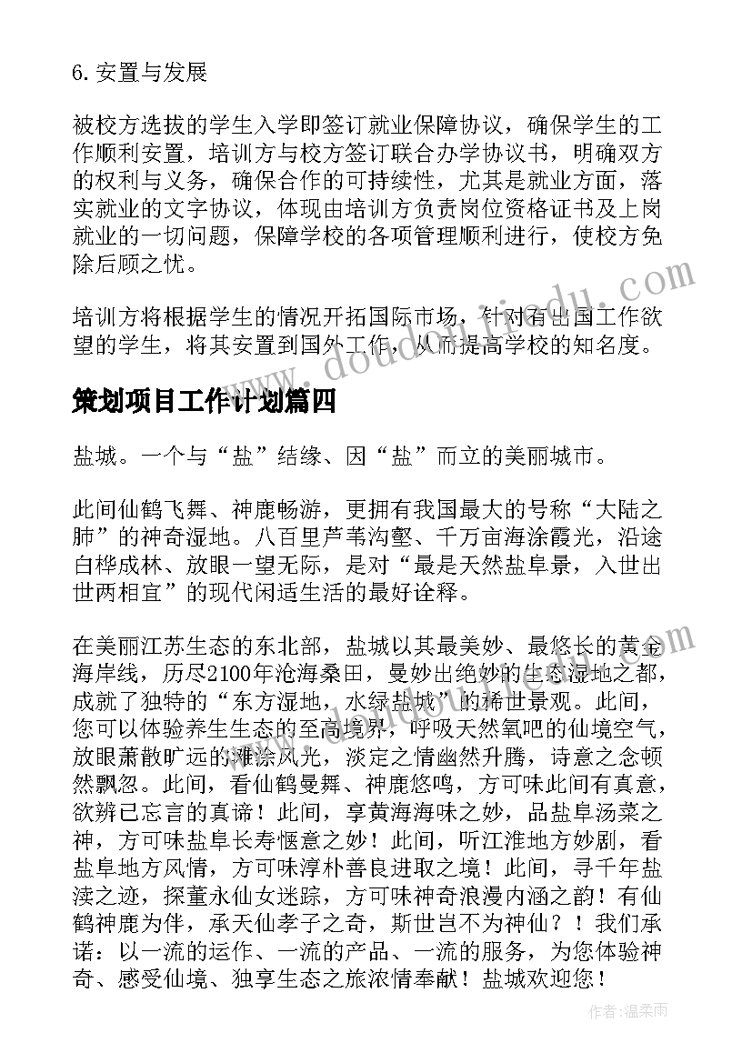 2023年策划项目工作计划(汇总9篇)