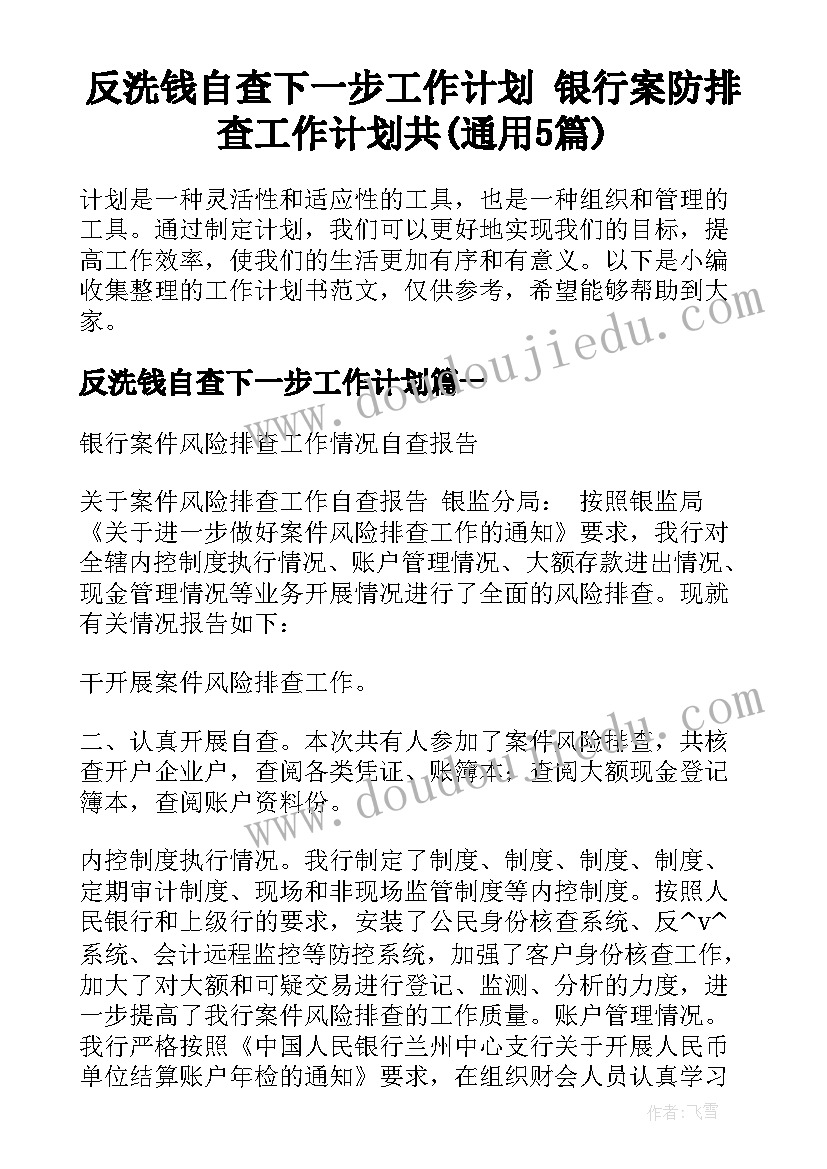 反洗钱自查下一步工作计划 银行案防排查工作计划共(通用5篇)