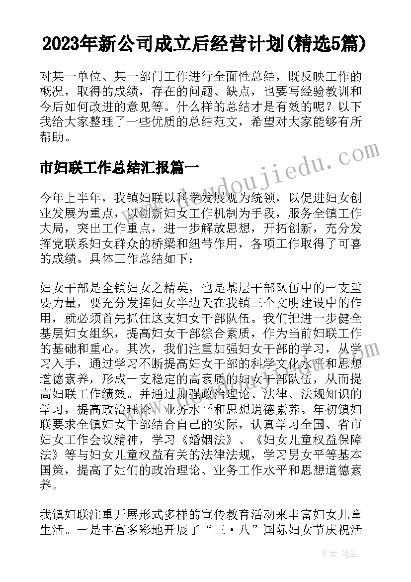 2023年新公司成立后经营计划(精选5篇)