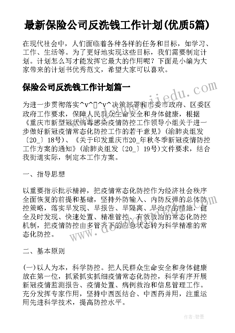 最新保险公司反洗钱工作计划(优质5篇)