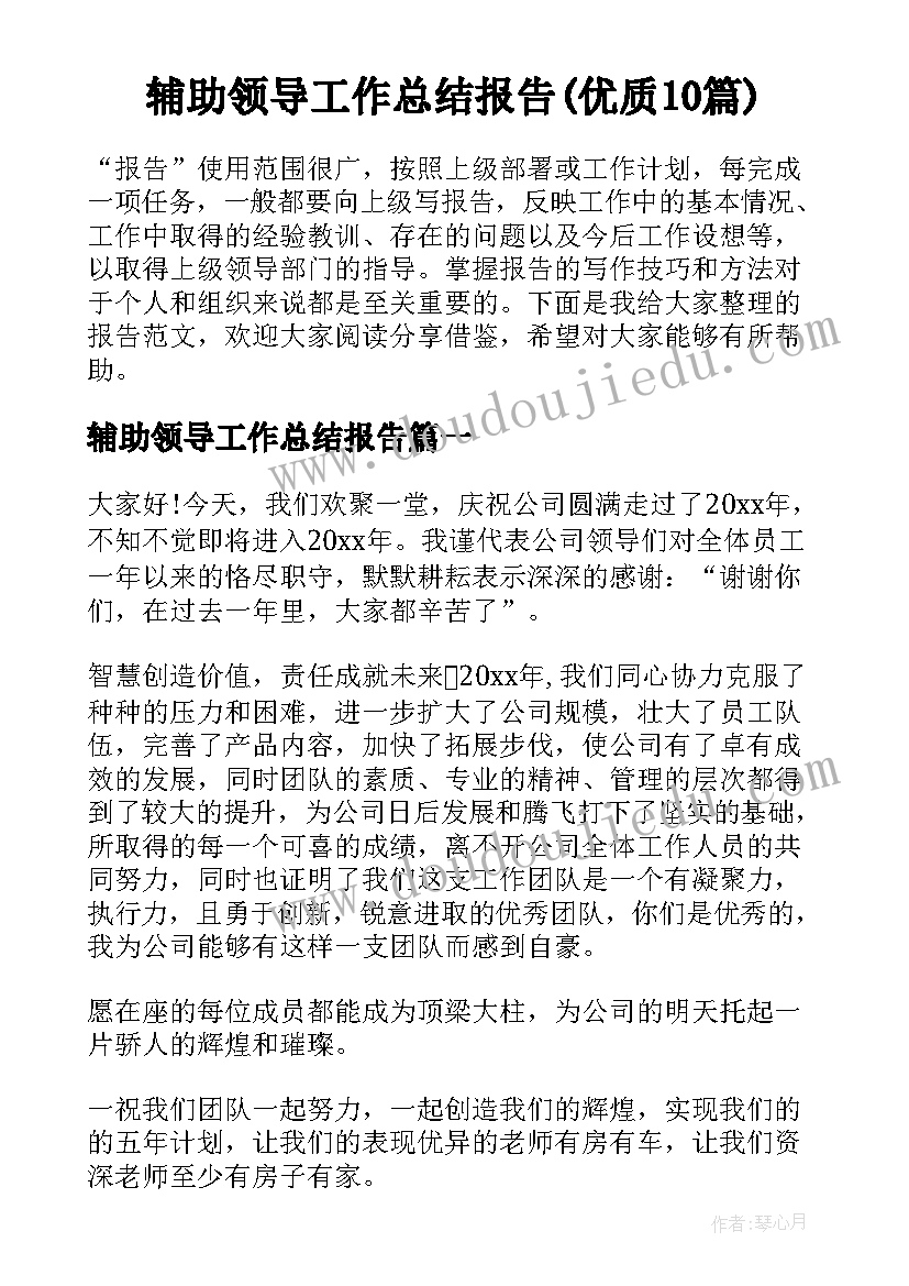 辅助领导工作总结报告(优质10篇)