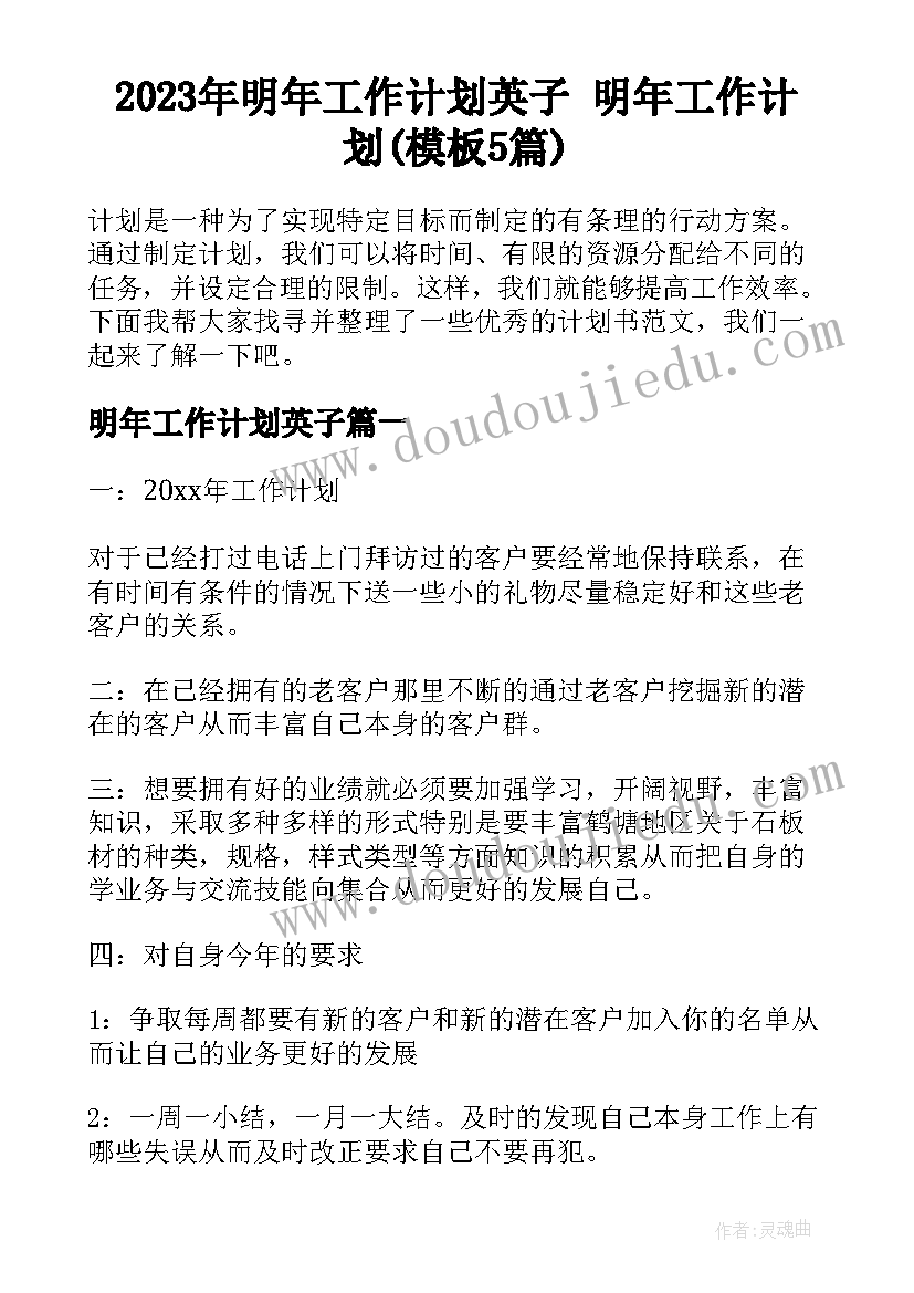 2023年明年工作计划英子 明年工作计划(模板5篇)