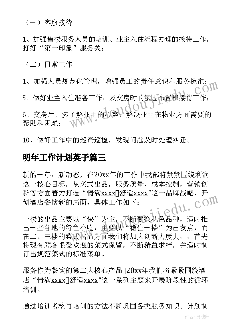 2023年明年工作计划英子 明年工作计划(模板5篇)