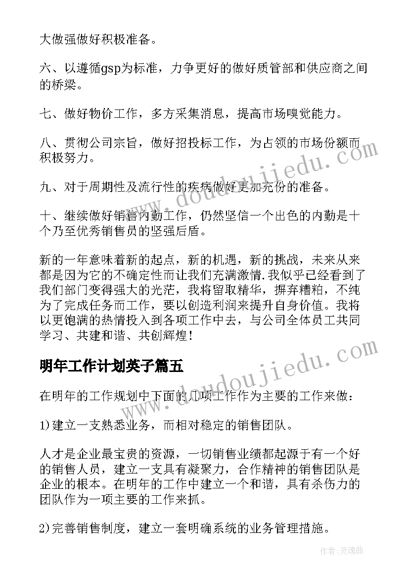 2023年明年工作计划英子 明年工作计划(模板5篇)