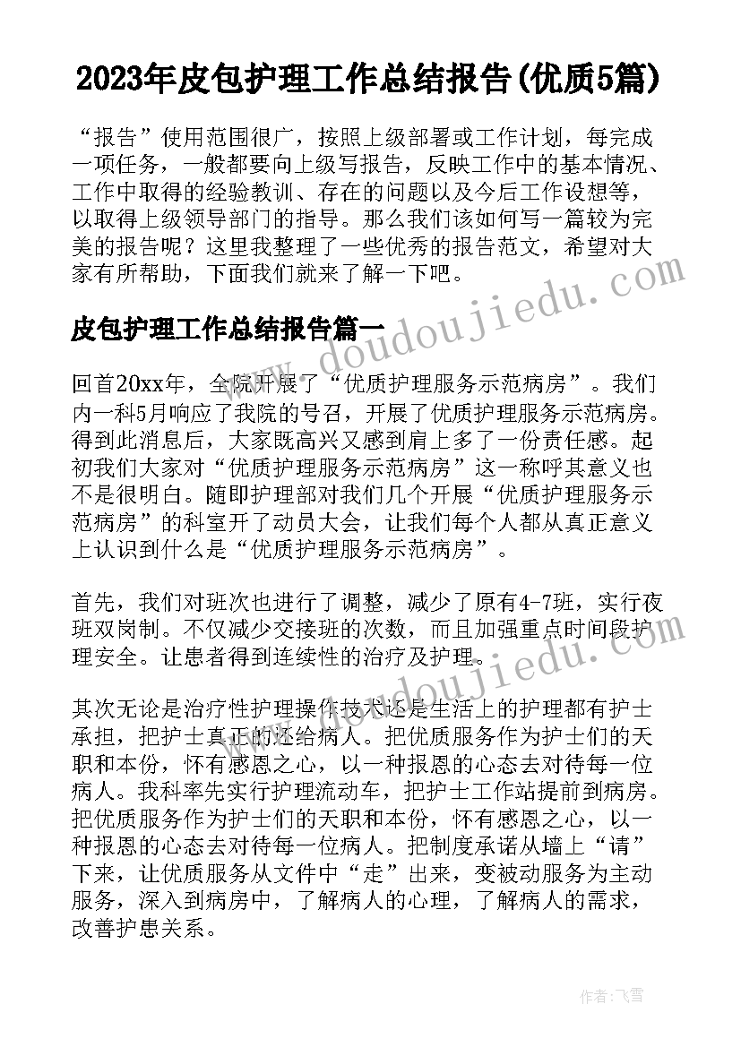 2023年皮包护理工作总结报告(优质5篇)