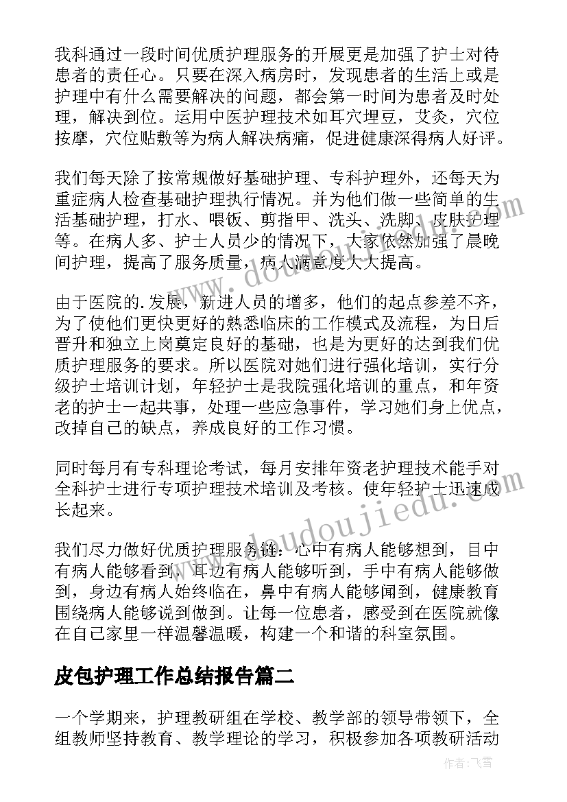 2023年皮包护理工作总结报告(优质5篇)