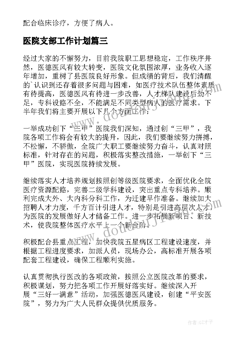 2023年医院支部工作计划 医院工作计划(模板7篇)