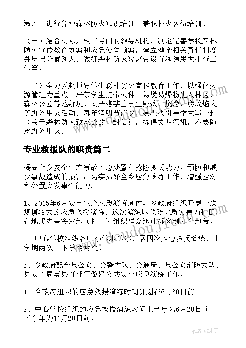 专业救援队的职责 消防救援灭火救援工作计划优选(大全7篇)