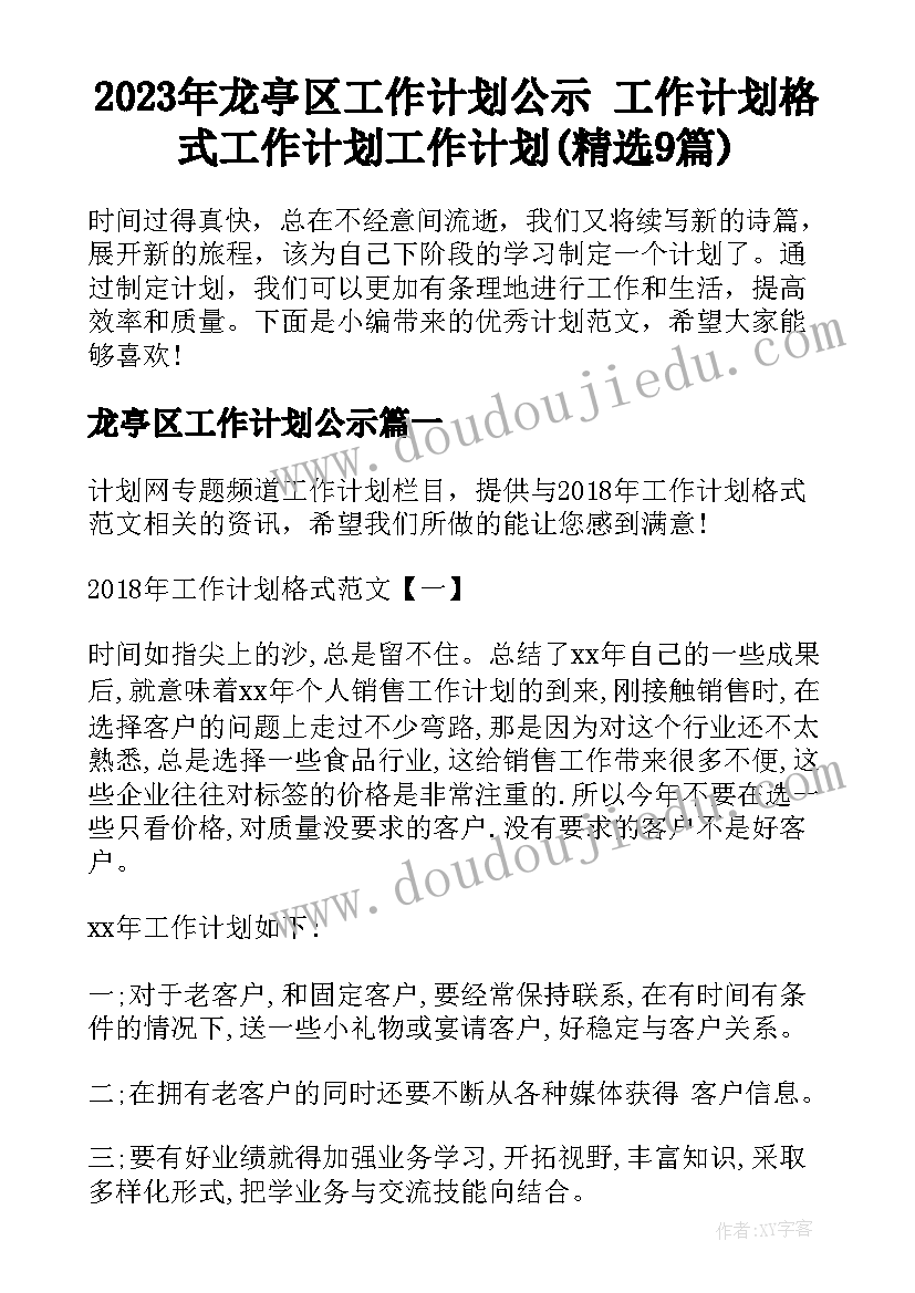 2023年龙亭区工作计划公示 工作计划格式工作计划工作计划(精选9篇)