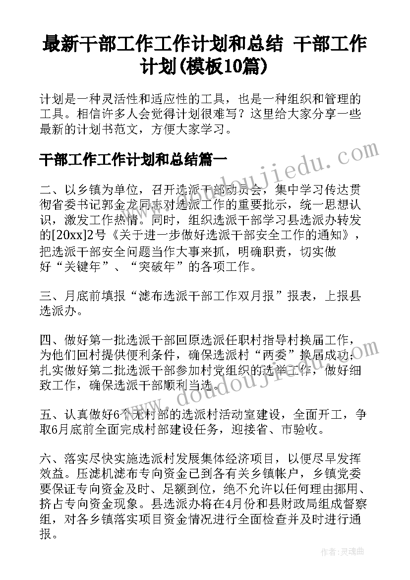 最新干部工作工作计划和总结 干部工作计划(模板10篇)